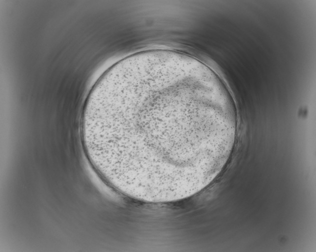 X0000112070811200909151047