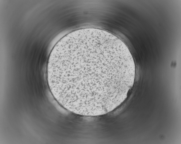 X0000112070812200909151047