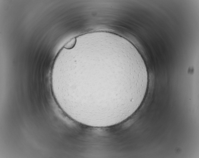 X0000112070814200909151047