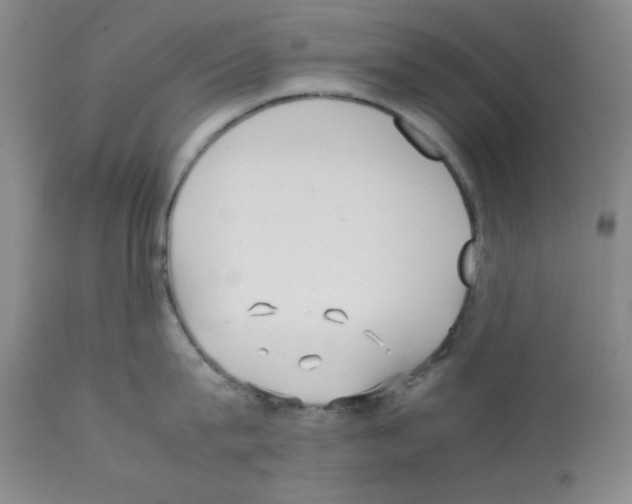 X0000112070815200909151047
