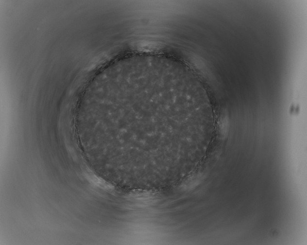 X0000112070817200909151046