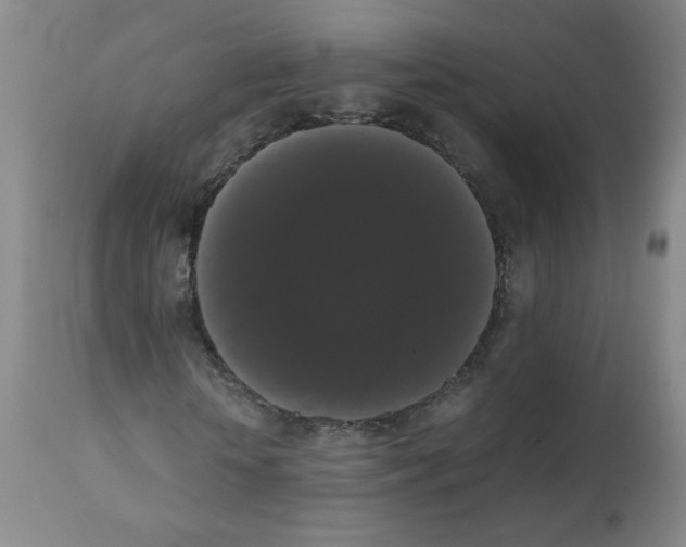 X0000112070818200909151046