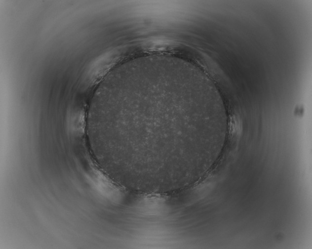 X0000112070820200909151046