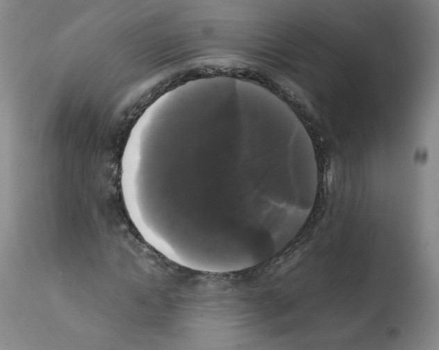 X0000112070822200909151046