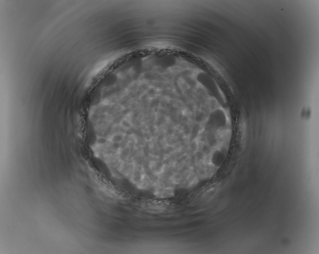 X0000112070823200909151046