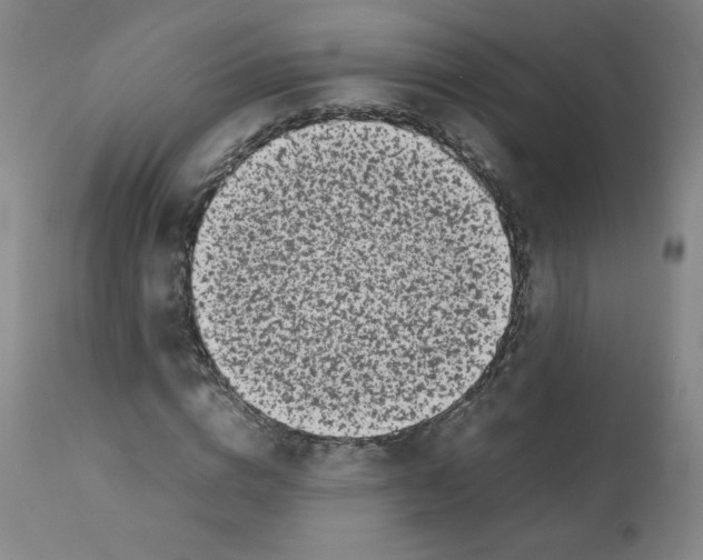 X0000112070824200909151046