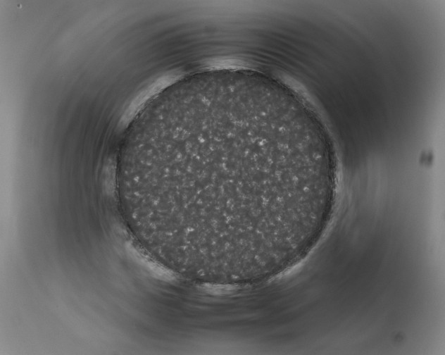 X0000112070825200909151046