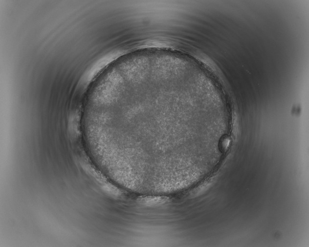 X0000112070826200909151046