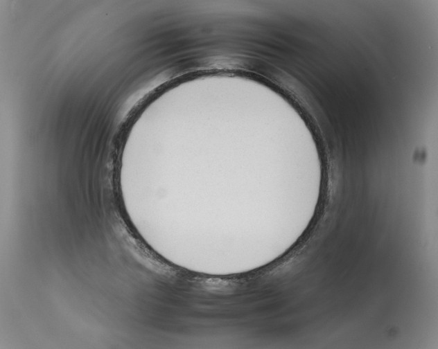 X0000112070827200909151046
