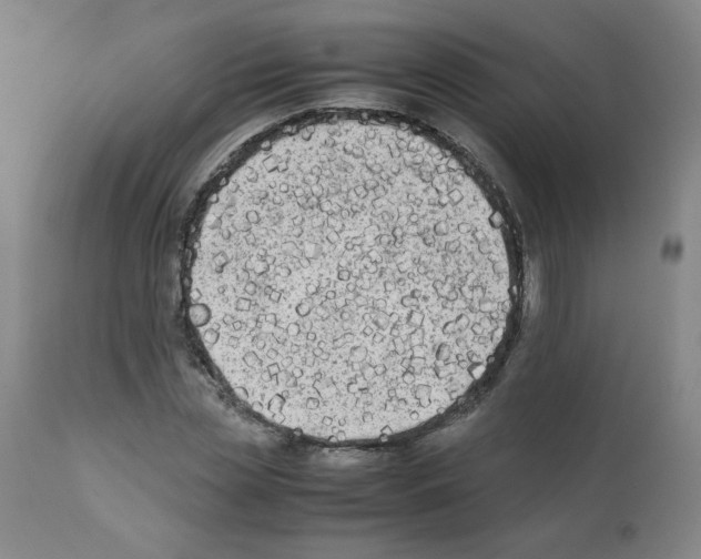 X0000112070829200909151046