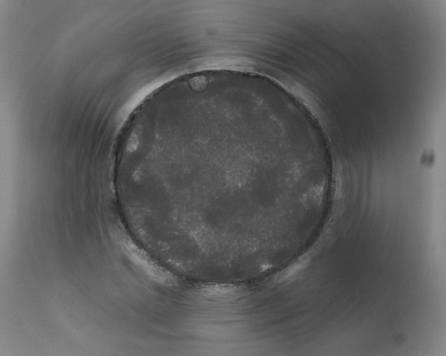 X0000112070830200909151047