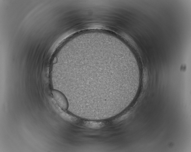 X0000112070831200909151047