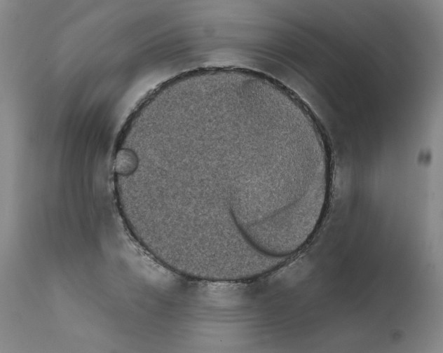 X0000112070832200909151047