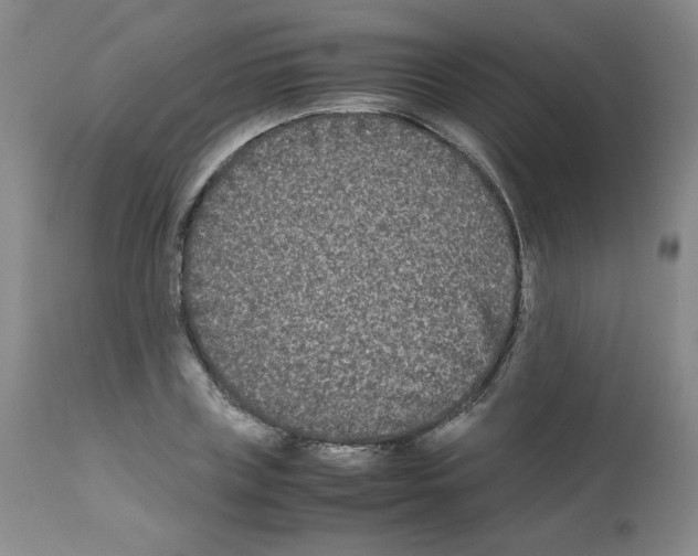 X0000112070835200909151047