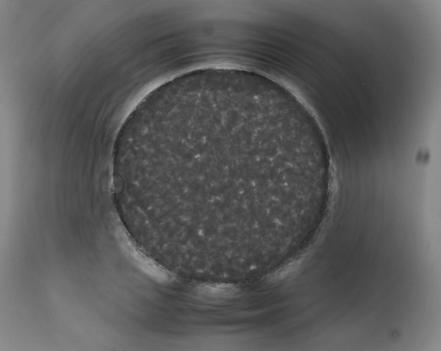 X0000112070837200909151047