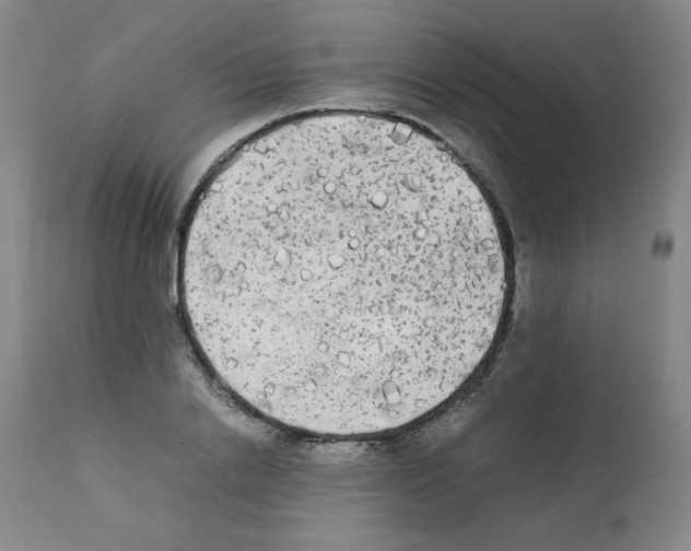 X0000112070838200909151047
