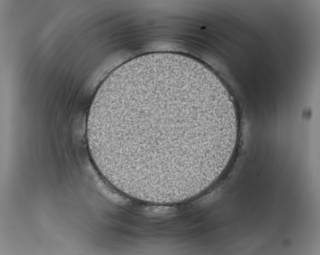 X0000112070841200909151047