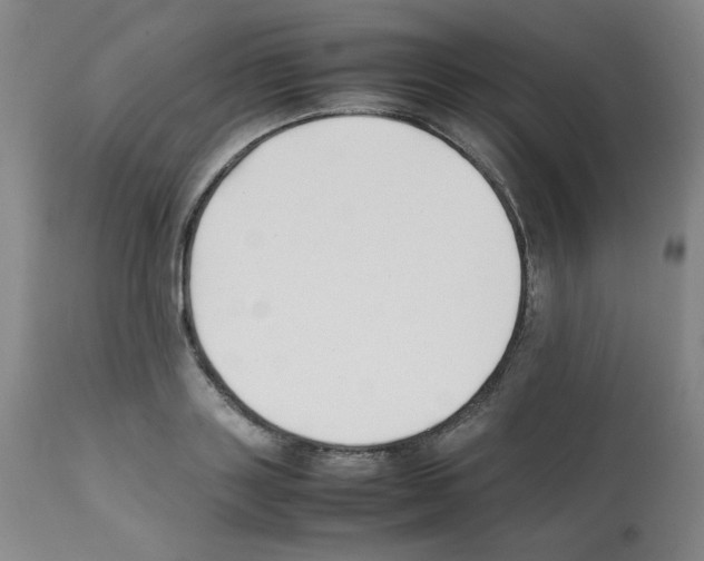 X0000112070843200909151047