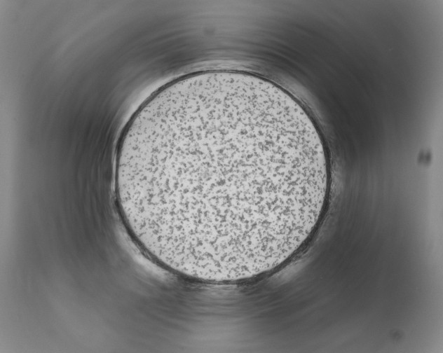 X0000112070844200909151047