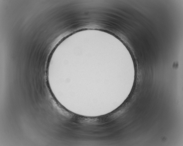 X0000112070845200909151047