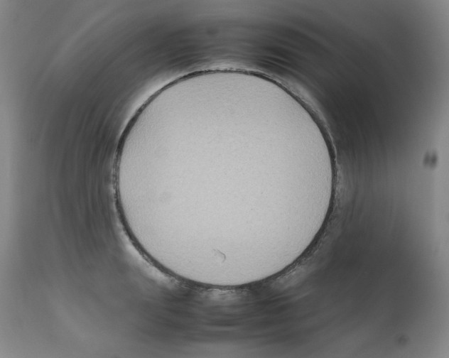 X0000112070847200909151047