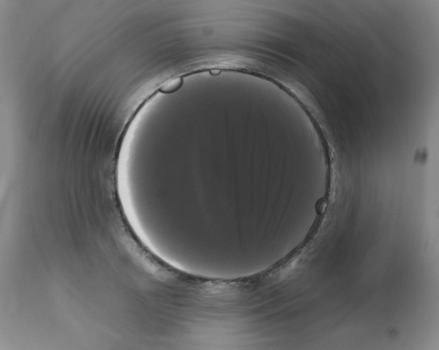 X0000112070850200909151047