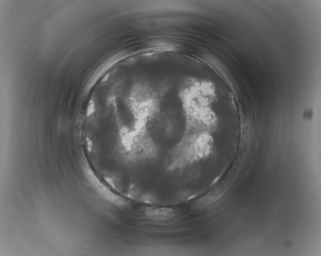 X0000112070851200909151047