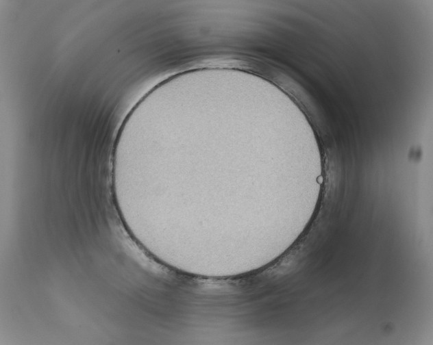 X0000112070852200909151047