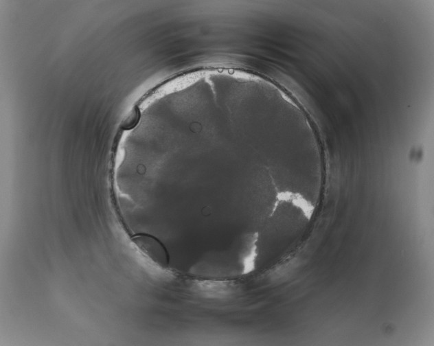 X0000112070853200909151047