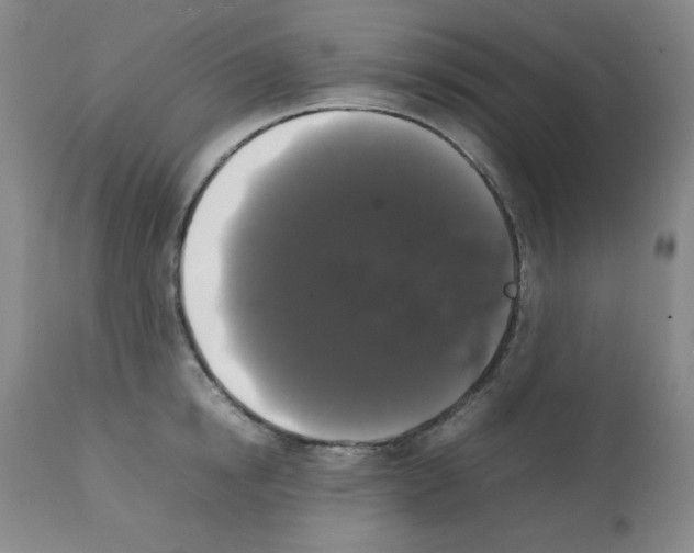 X0000112070854200909151047