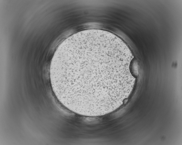 X0000112070857200909151047