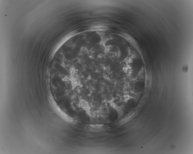 X0000112070859200909151047