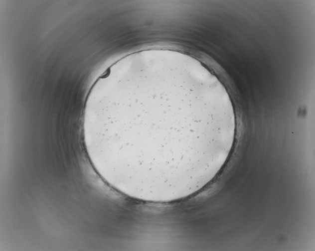X0000112070860200909151047