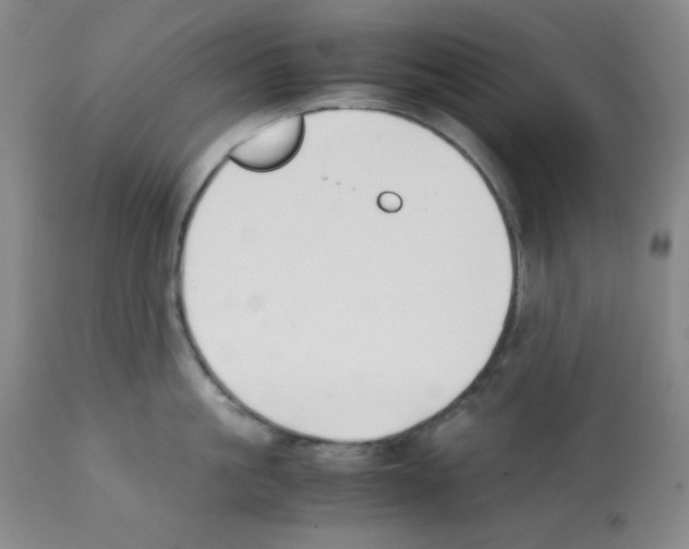 X0000112070861200909151047