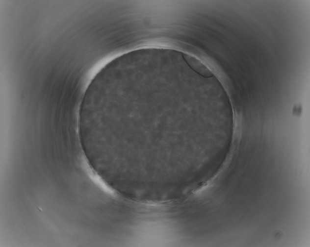 X0000112070862200909151047