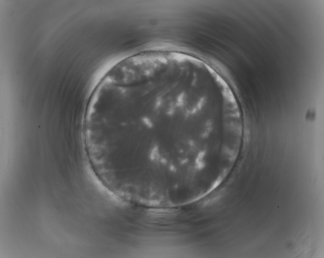 X0000112070863200909151047