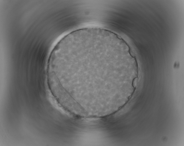 X0000112070864200909151047