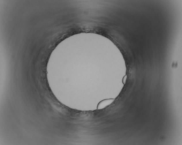 X0000112070865200909151046