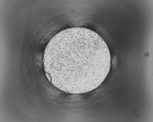 X0000112070867200909151046