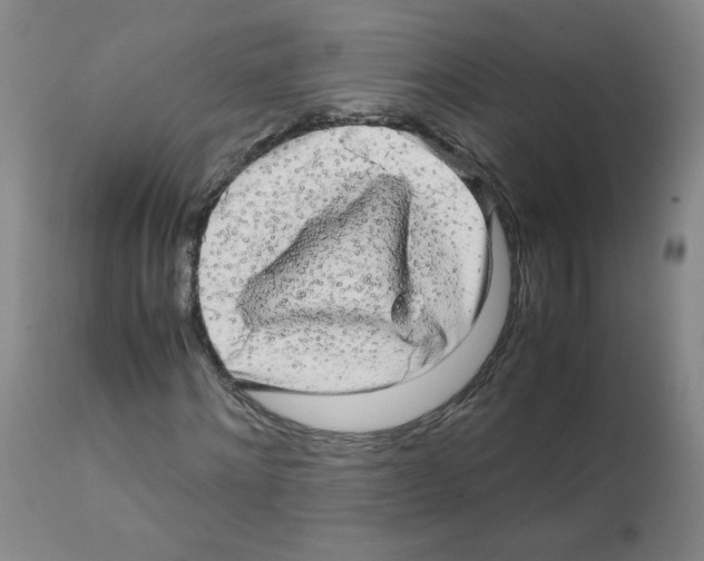 X0000112070868200909151046
