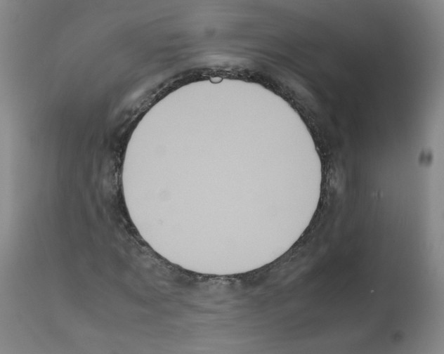 X0000112070869200909151046