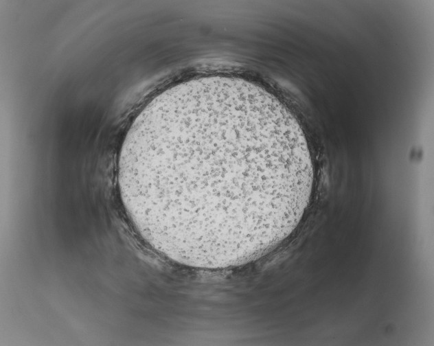 X0000112070870200909151046