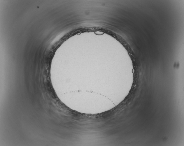X0000112070871200909151046