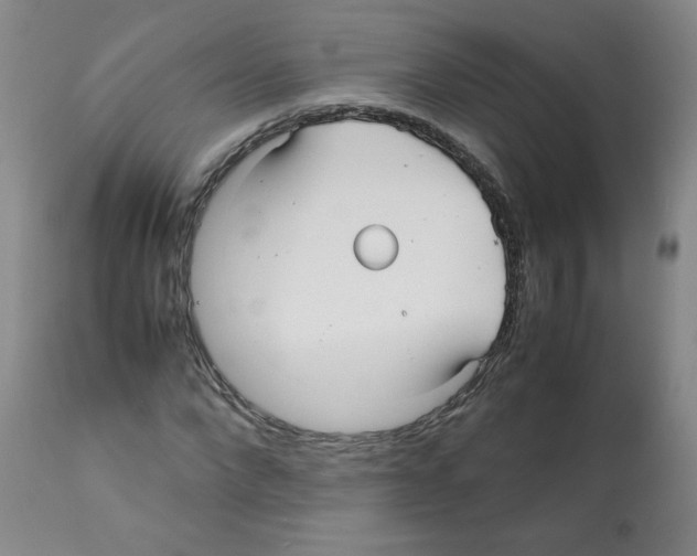 X0000112070872200909151046