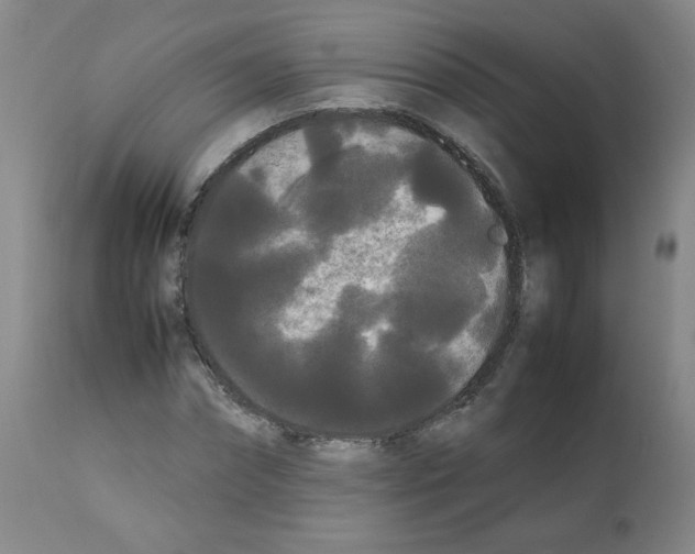 X0000112070874200909151046
