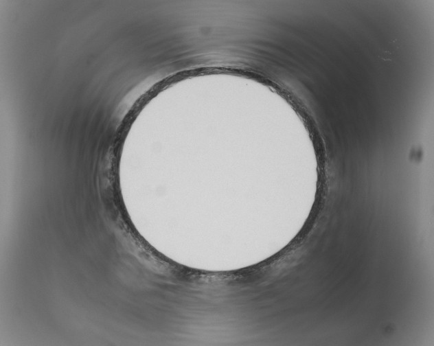 X0000112070875200909151046