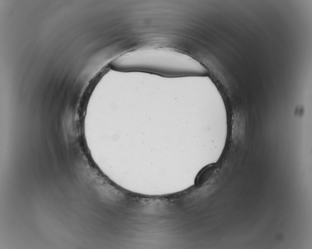 X0000112070876200909151046