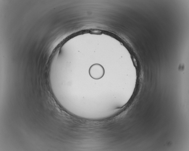 X0000112070877200909151046