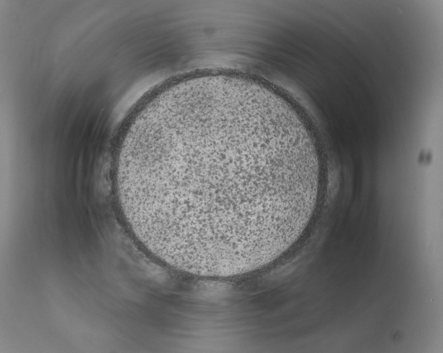 X0000112070878200909151046