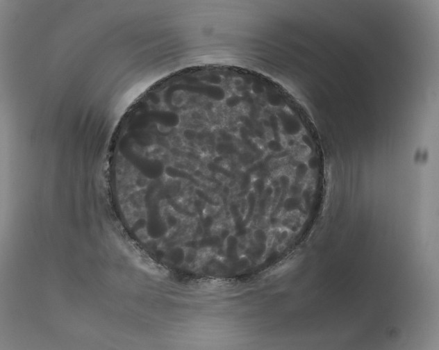 X0000112070879200909151046
